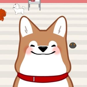 Meet your Posher, Baxter